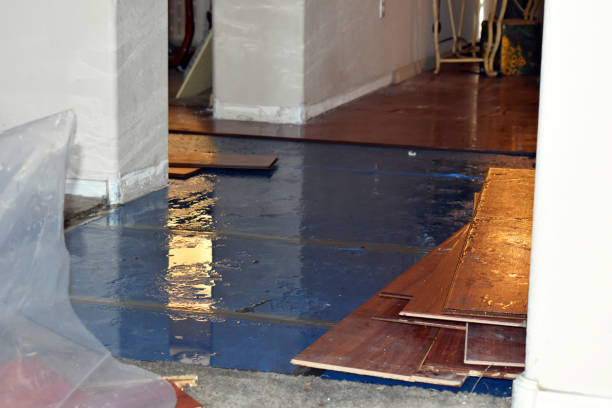 Professional Basement Flood Cleanup technician working in Radnor, OH